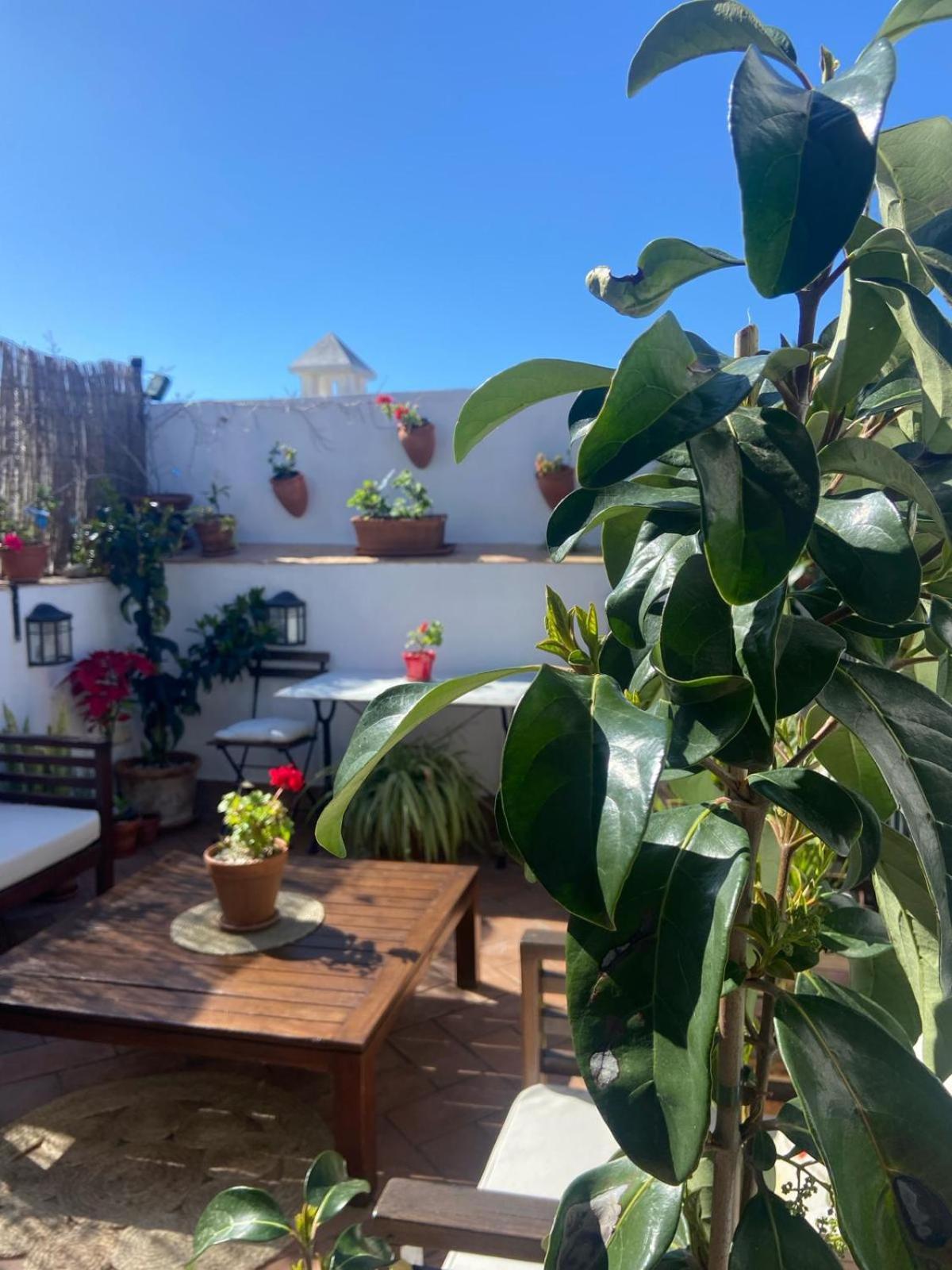 La Gitanilla Alojamiento & Encanto Jerez เฮเรซ เด ลาฟรอนเตรา ภายนอก รูปภาพ